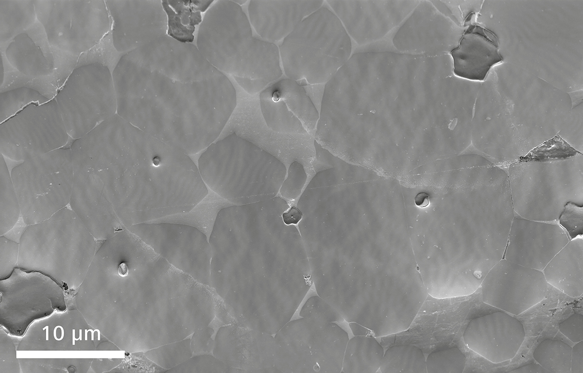 场发射池州扫描电镜