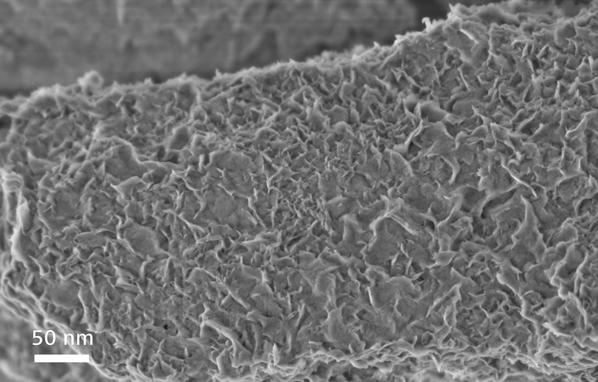 场发射池州扫描电镜