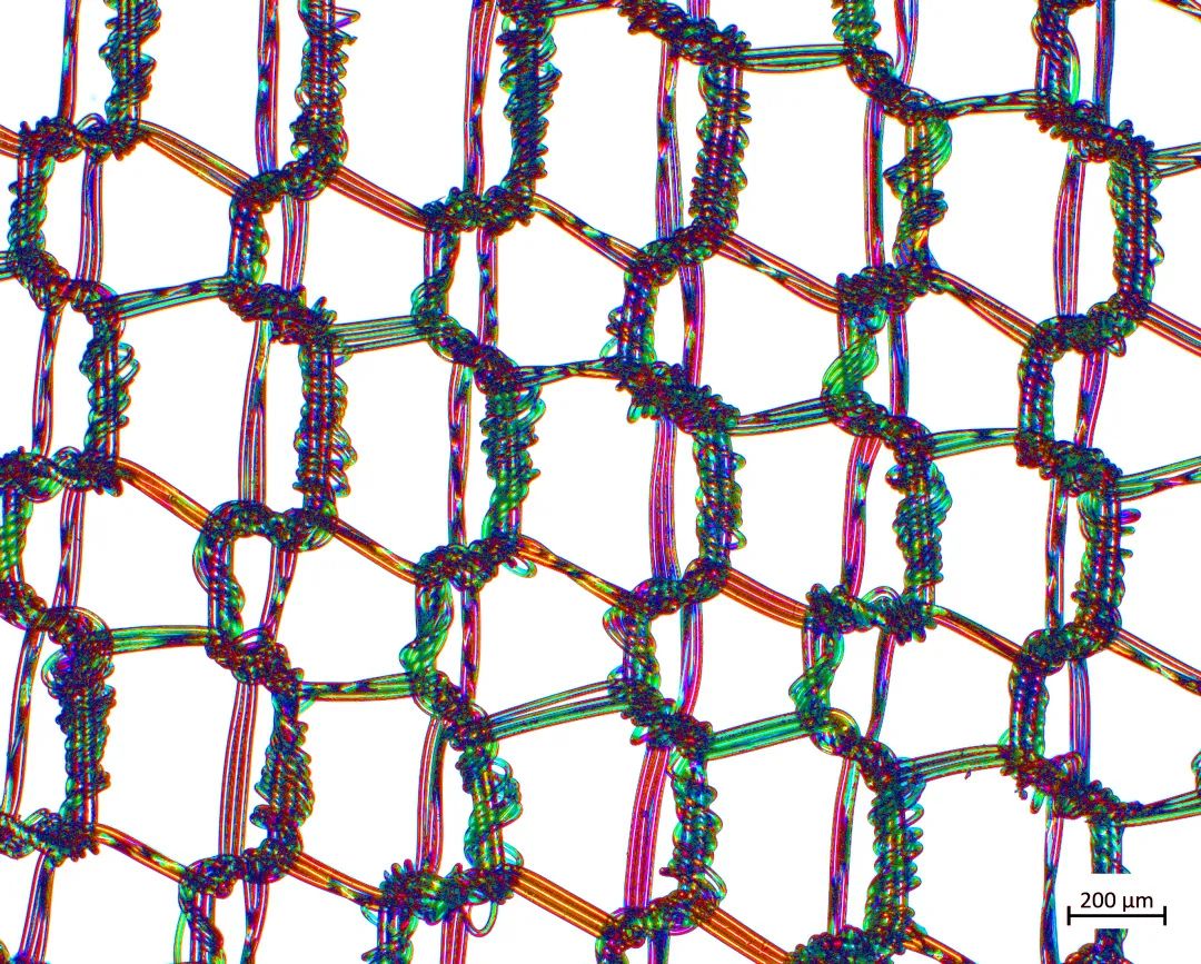 池州蔡司场发射池州扫描电镜