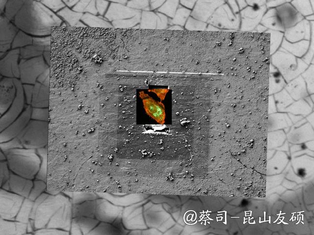 池州池州蔡司池州扫描电镜