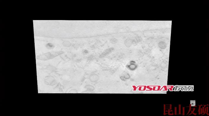 FIB池州扫描电镜