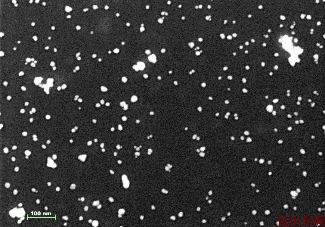 池州池州蔡司池州扫描电镜