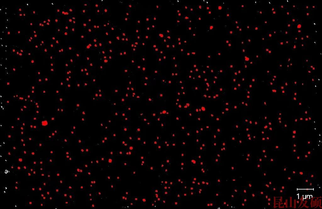 池州池州蔡司池州扫描电镜