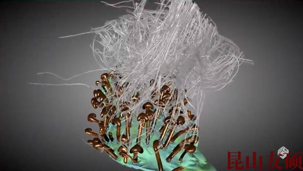 池州蔡司池州X射线显微镜